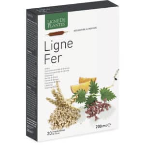 Ligne Fer