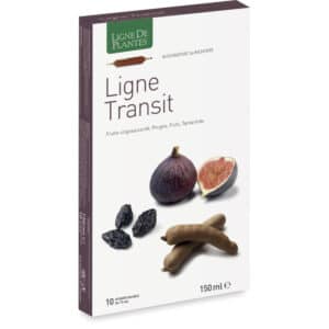 Ligne Transit