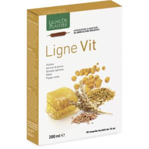 Ligne Vit