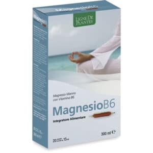 Magnesio B6