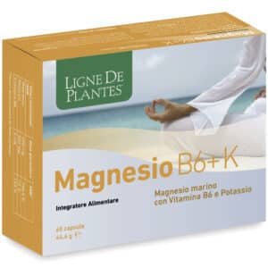 Magnésium B6 + K