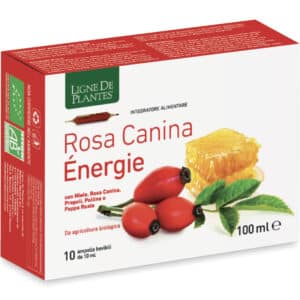 Églantier énergie BIO