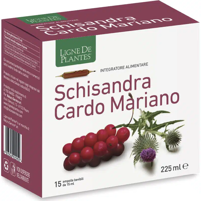Schisandre Chardon-Marie