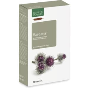 Bardane BIO