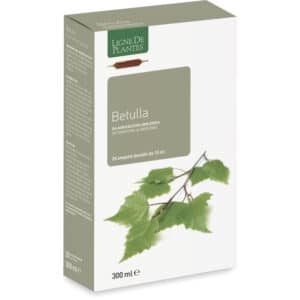 Bouleau BIO