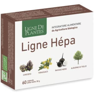 Ligne Hépa