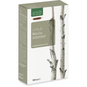 Sève de Bouleau BIO