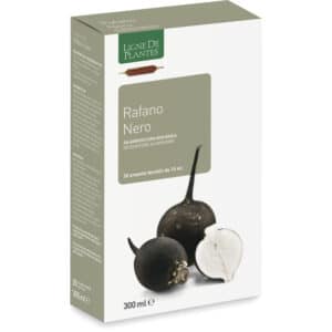 Radis noir BIO