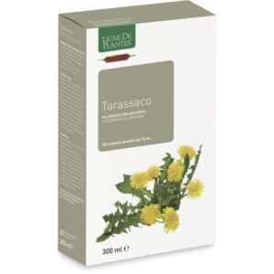 Pissenlit BIO