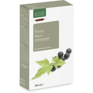 Cassis BIO