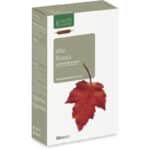 Vigne Rouge BIO