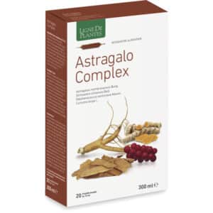 Astragalus complex