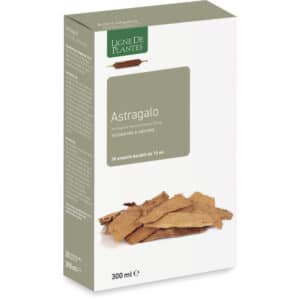 Astragale - 20 ampoules de 15 ml