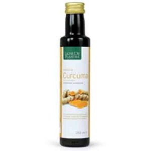 Jus de Curcuma BIO