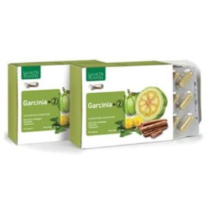 Garnicia Cambogia +2