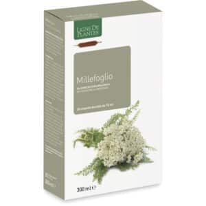 Millefeuille BIO