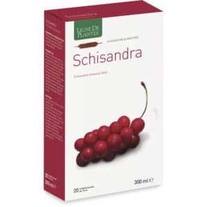 Schisandre