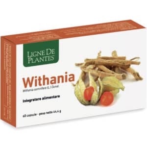 Ashwagandha - Ginseng indien