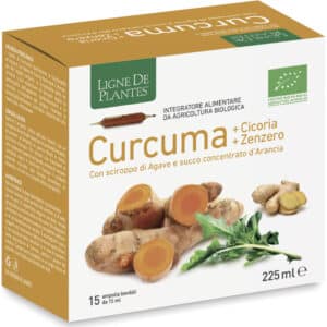 Curcuma Chicorée Gingembre