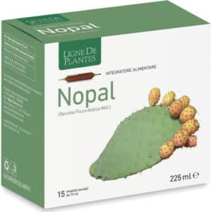 Nopal