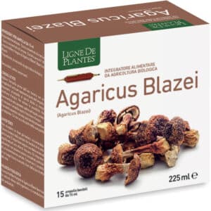 Agaricus Blazei BIO