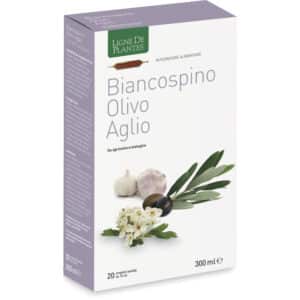 Aubépine Olivier Ail BIO