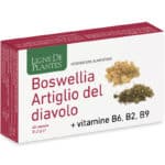 Boswellia, Griffe du diable, Vitamines B2 + B6 + B9