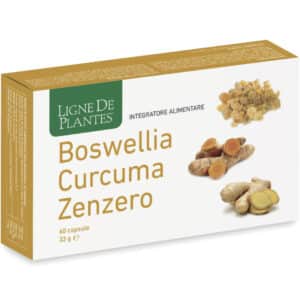 Boswellia Curcuma Gingembre