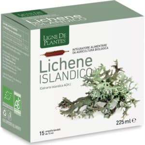 Lichen d'Islande BIO