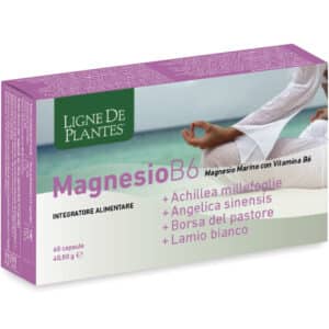 Magnésium B6 + Achillée millefeuille + Angélique chinoise + Bourse-à-pasteur + Lamier blanc