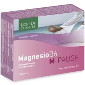 Magnésium B6 M-PAUSE