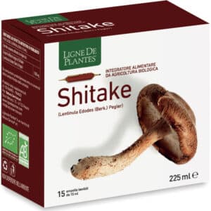 Shitake BIO